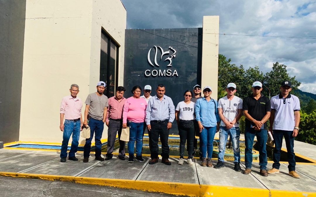 COMSA recibe a grupo de productores de El Paraíso.