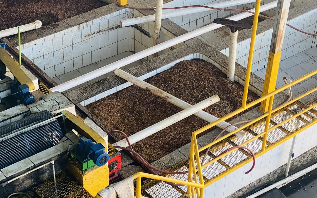 GRUPO COMSA se prepara con optimismo para la temporada 2025–2026