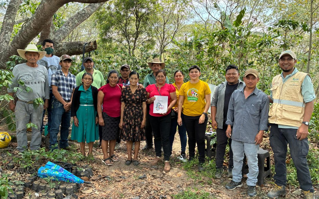 Formación a Productores y Productoras en Manejo de Tejidos, Enmiendas de Suelo y Normas de Certificación.