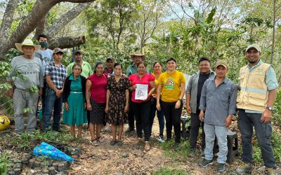Formación a Productores y Productoras en Manejo de Tejidos, Enmiendas de Suelo y Normas de Certificación.